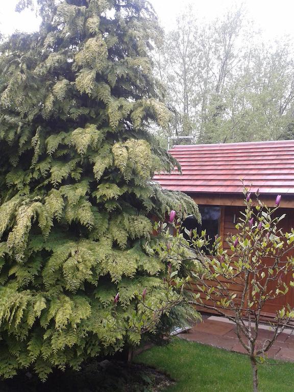 Manor Garden Lodge Wirral Zewnętrze zdjęcie